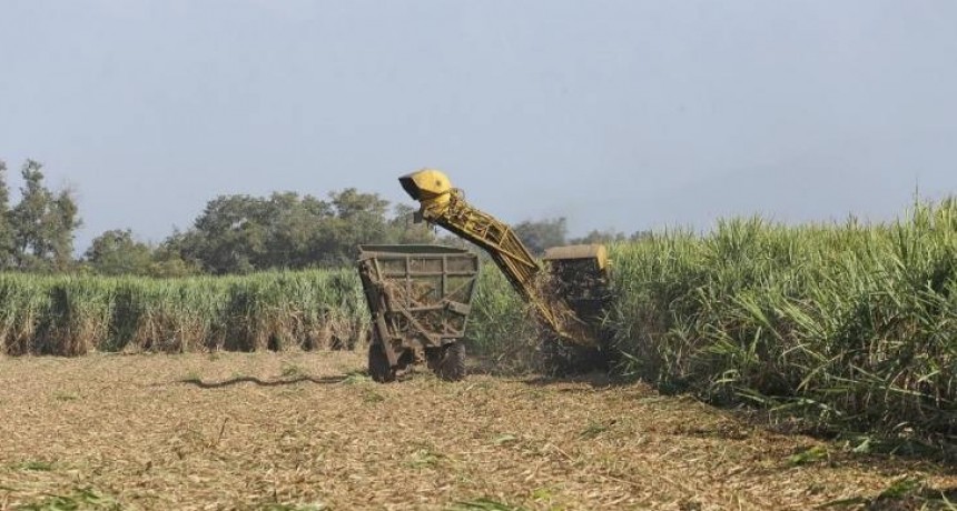 Industriales, cañeros y trabajadores coincidieron en la productiva zafra 2024