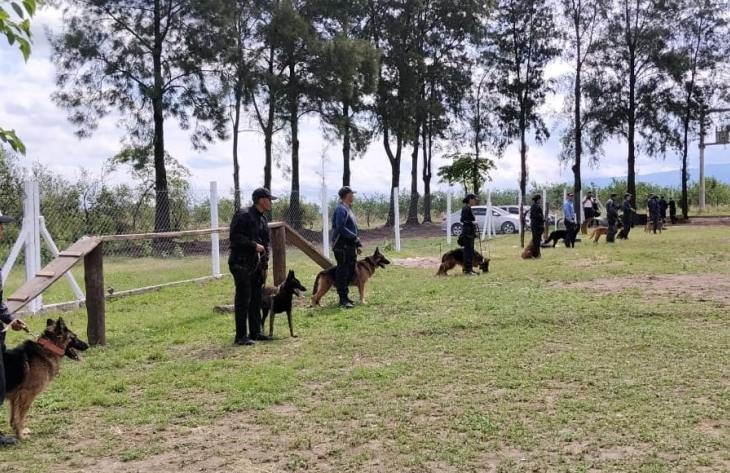 La Policía sigue capacitándose en adiestramiento canino