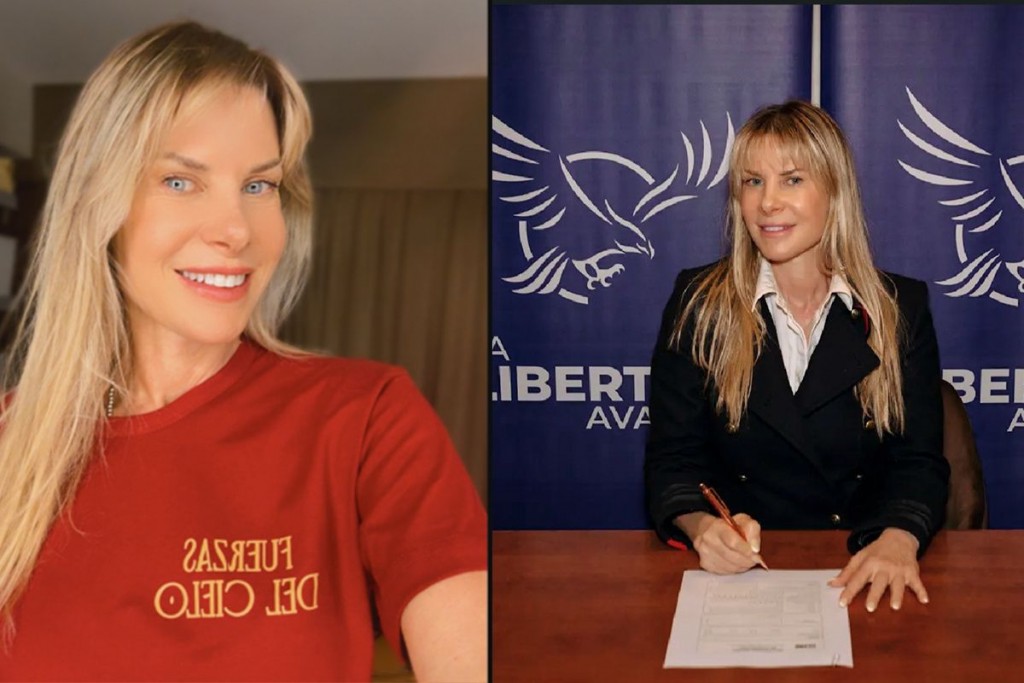 Karen Reichardt reconoció que aún no leyó la normativa de Diputados