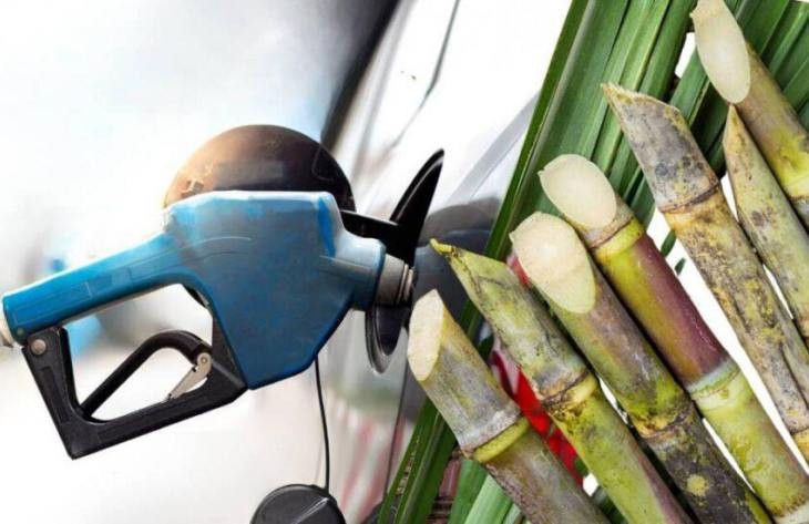 La Secretaria de Energía fija nuevos precios para el bioetanol en noviembre
