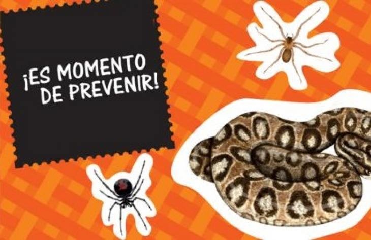 Recomendaciones para prevenir accidentes con animales ponzoñosos en domicilio