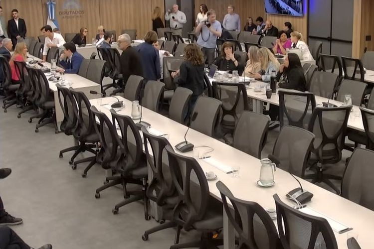 El ministro de Salud faltó a la Comisión Investigadora del Fentanilo Contaminado