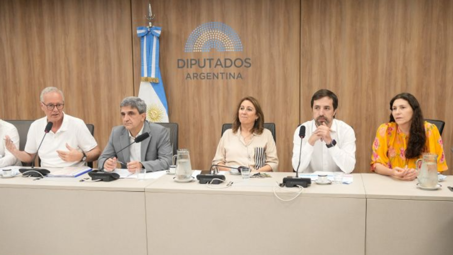 Insólito encuentro antivacunas en Diputados