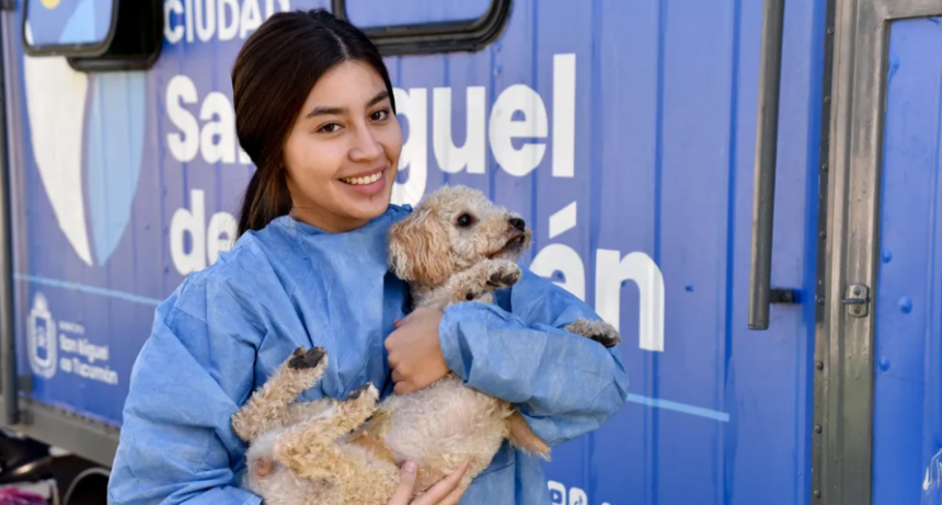 Dónde estará el quirófano móvil de castraciones de la Dirección de Población Animal, del 3 al 7 de noviembre