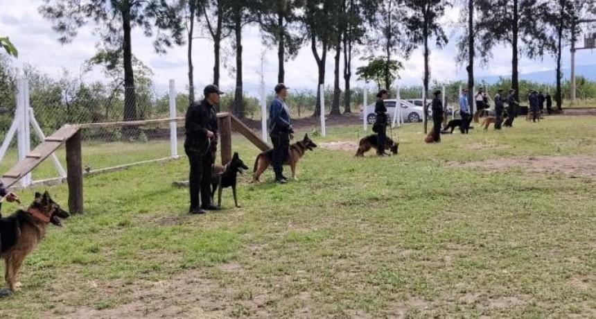 La Policía sigue capacitándose en adiestramiento canino