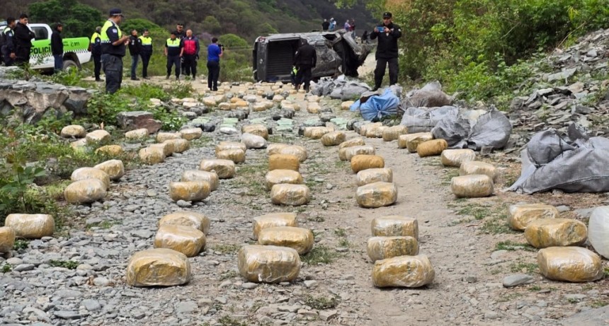 Golpe al narcotráfico: Secuestran más de 300 kilos de marihuana
