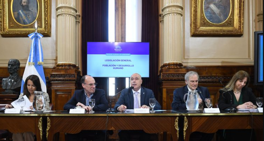 Comenzó el debate en el Senado para penar la violencia en menores