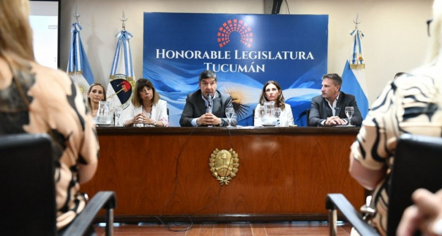 Presentaron en la Legislatura el Programa Provincial de Protección de la Niñez y Adolescencia en Entornos Digitales