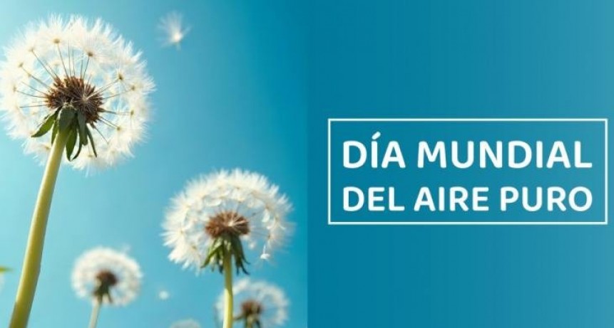 Día Mundial del Aire Puro