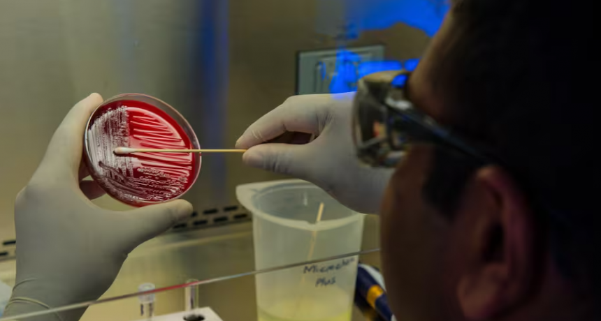 Alerta de la OMS por el virus de Marburgo: qué es y cómo se contagia