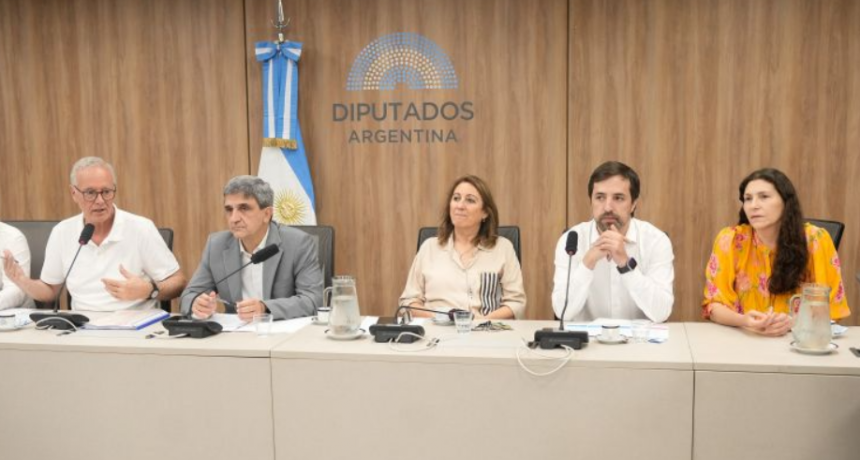 Insólito encuentro antivacunas en Diputados