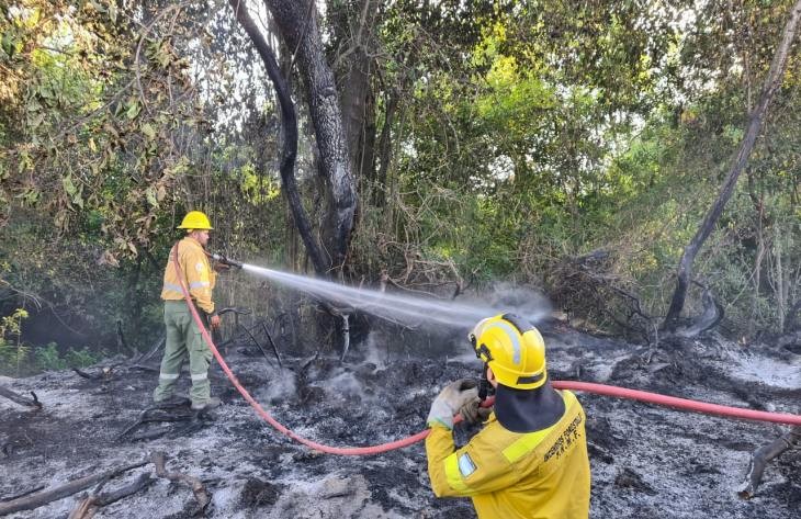 Controla un incendio forestal en Yerba Buena