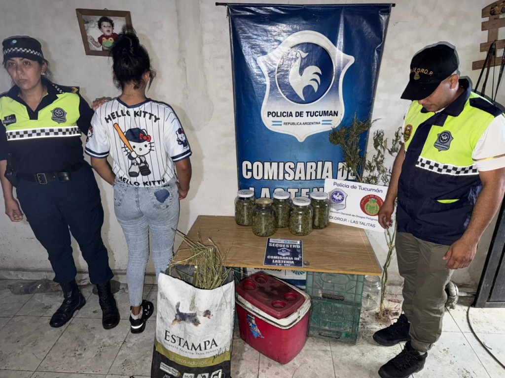 En allanamientos por robo descubren un cultivo indoor de marihuana