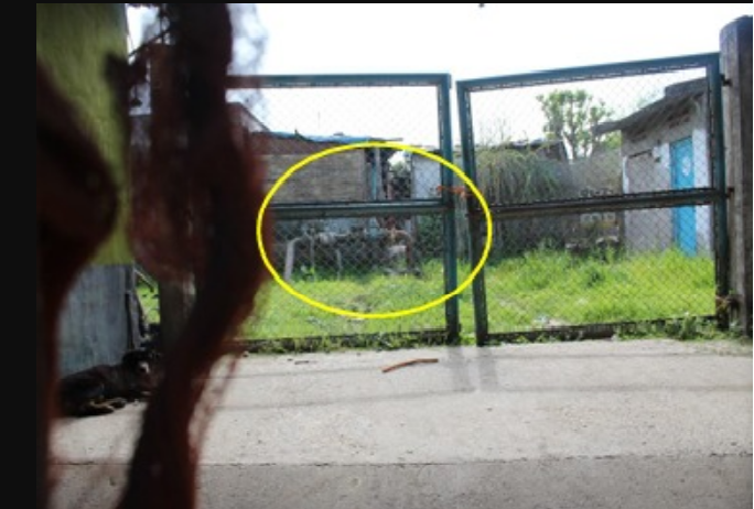 Ordenan la restitución de un inmueble usurpado en Lomas de Tafí por entorpecer el servicio de agua potable