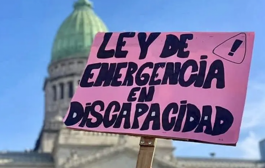 Amparo colectivo: un fallo ordena la inmediata aplicación de la Ley de Emergencia en Discapacidad