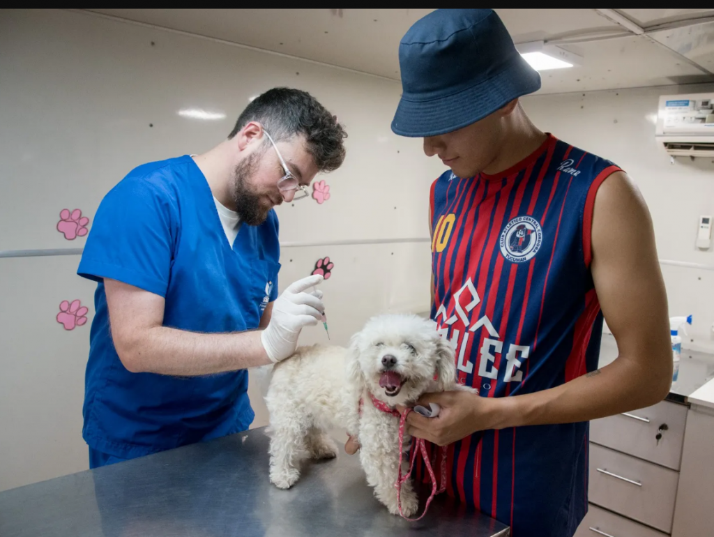 Dónde estará el quirófano móvil de castraciones de la Dirección de Población Animal, del 15 al 19 de diciembre