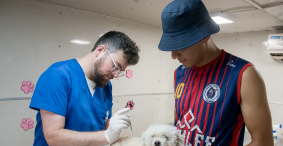 Dónde estará el quirófano móvil de castraciones de la Dirección de Población Animal esta semana