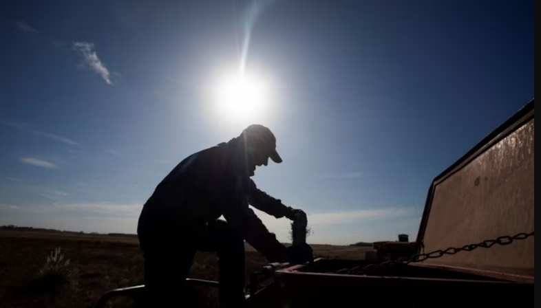 Tras la reforma laboral, el Gobierno nacional avanzará con cambios en la legislación del trabajo rural