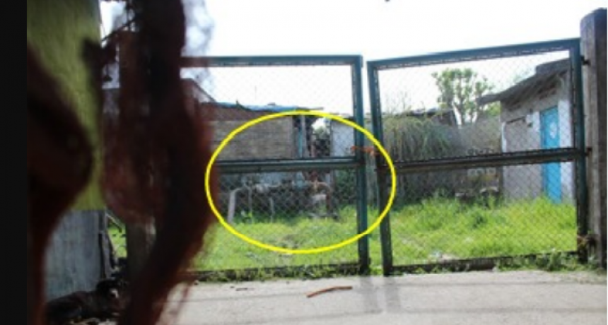 Ordenan la restitución de un inmueble usurpado en Lomas de Tafí por entorpecer el servicio de agua potable