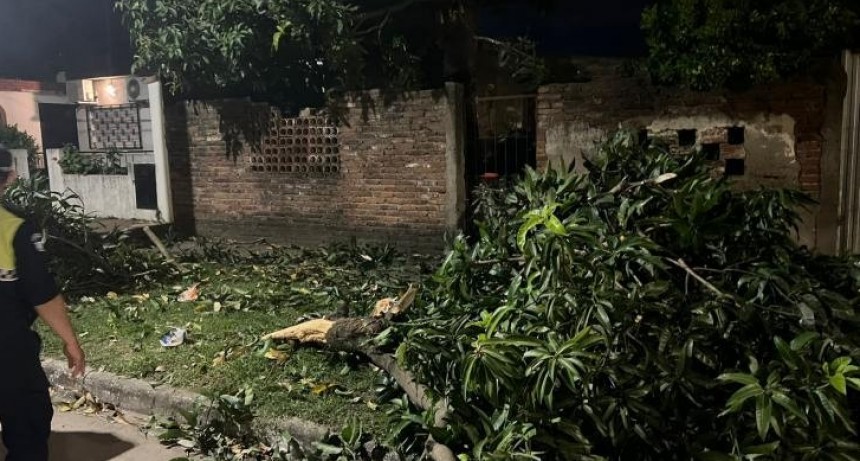 Rescatan a una familia atrapada en su casa y además frustran un robo