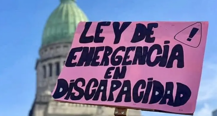 Amparo colectivo: un fallo ordena la inmediata aplicación de la Ley de Emergencia en Discapacidad