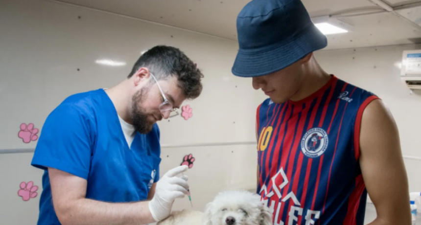 Dónde estará el quirófano móvil de castraciones de la Dirección de Población Animal esta semana