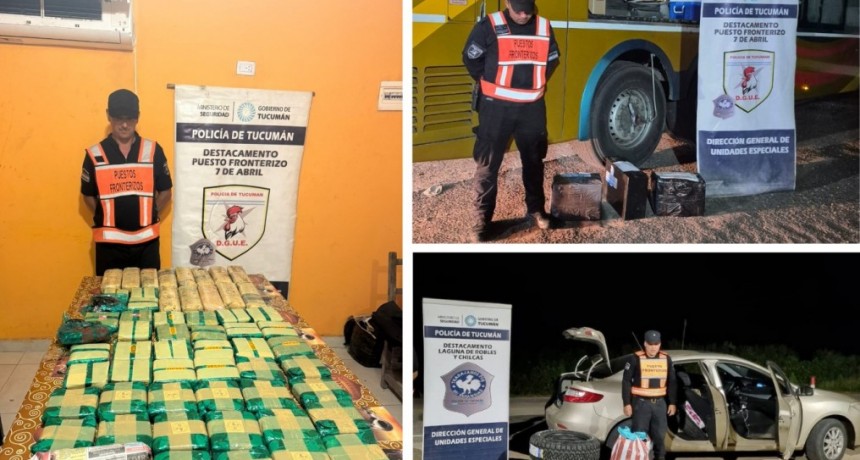 Incautaron mercadería ilegal y casi 100 kilos de hojas de coca