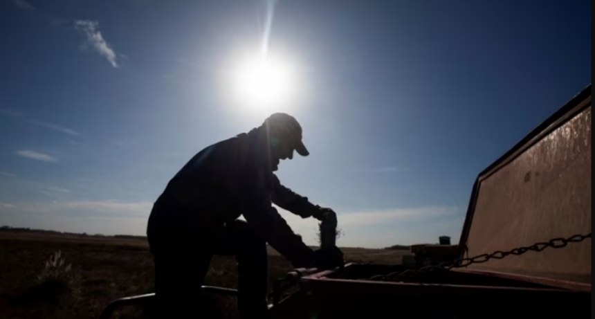 Tras la reforma laboral, el Gobierno nacional avanzará con cambios en la legislación del trabajo rural